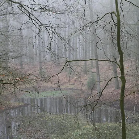 Wellness Huisje Eekhoorn Met Jacuzzi Op De Veluwe * Ermelo