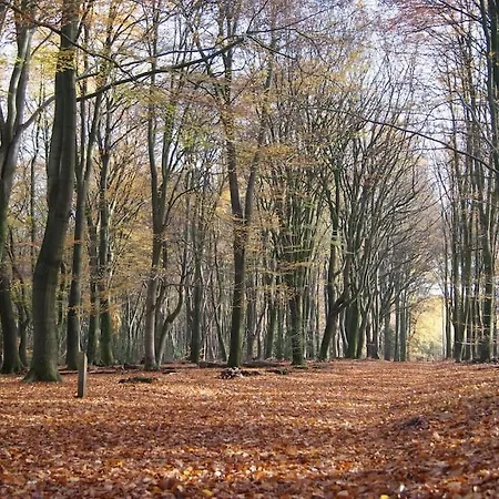 בקתה Wellness Huisje Eekhoorn Met Jacuzzi Op De Veluwe