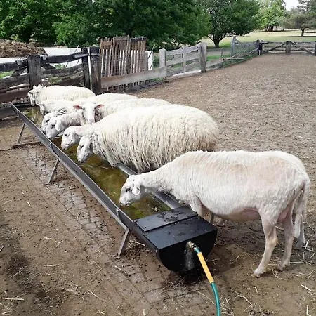 Wellness Huisje Eekhoorn Met Jacuzzi Op De Veluwe בקתה ארמלו